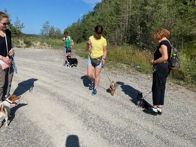 balade chien educateur canin Annecy