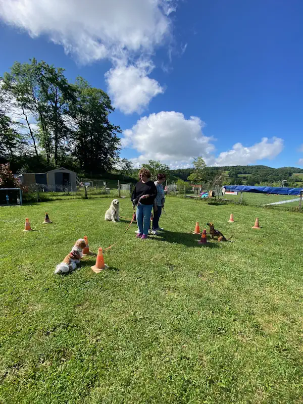 éducateur canin annecy - cours collectif chien