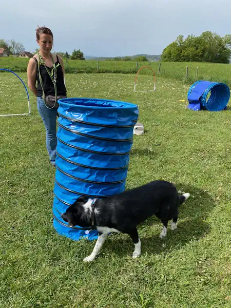 hoopers annecy chien - educateur canin 74