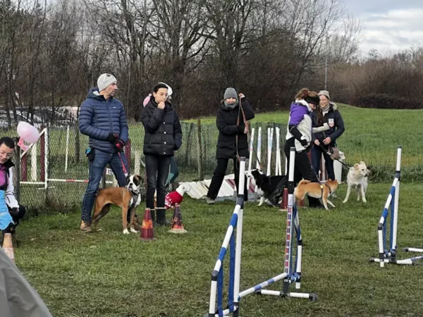 éducateur canin Annecy - fête de Noel 2025