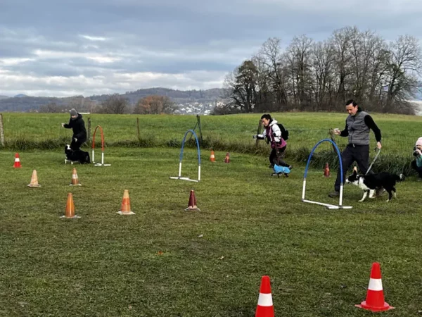 éducateur canin Annecy agility hooper - fête de Noel 2025