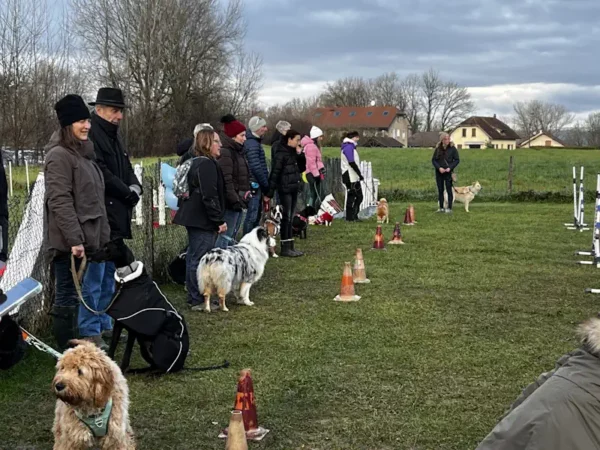 éducateur canin Annecy - fête de Noel 2025