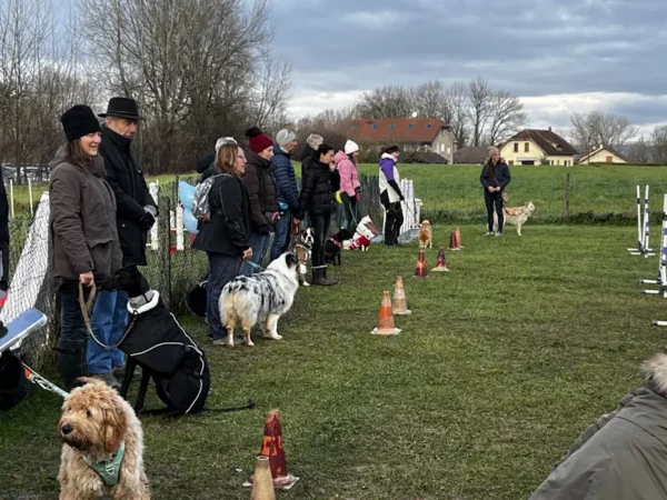 éducateur canin Annecy agility hooper - fête de Noel 2025