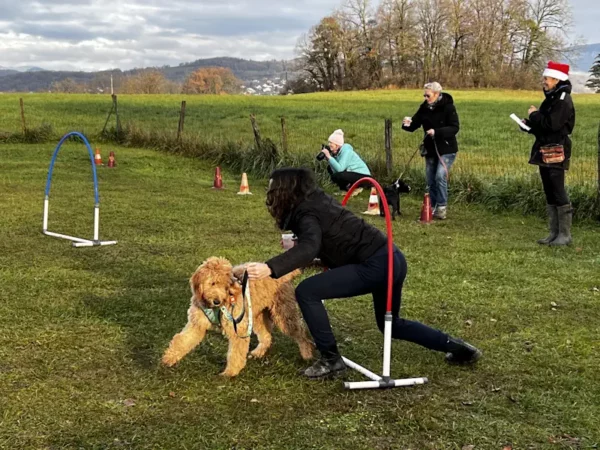 éducateur canin Annecy agility hooper - fête de Noel 2025