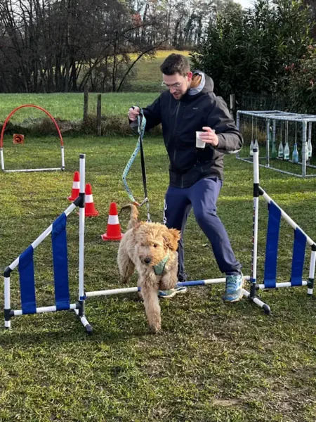 éducateur canin Annecy - fête de Noel 2025