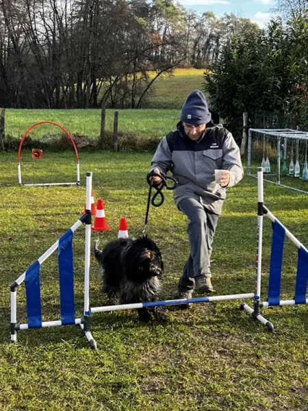 éducateur canin Annecy agility hooper - fête de Noel 2025