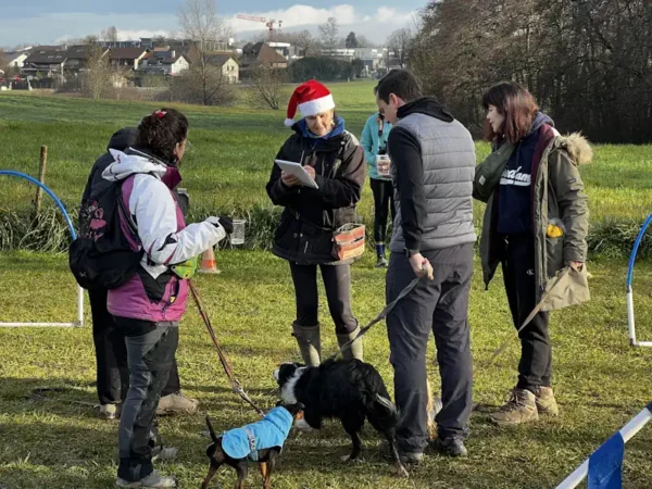 éducateur canin Annecy - fête de Noel 2025