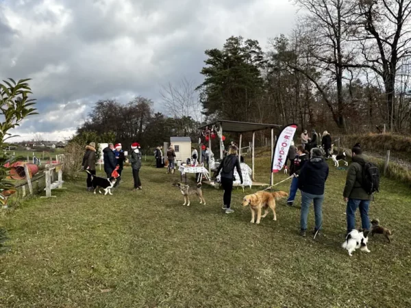 éducateur canin Annecy agility hooper - fête de Noel 2025