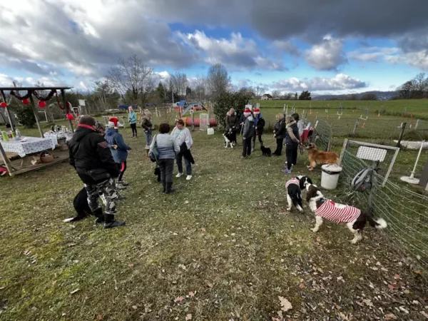 éducateur canin Annecy agility hooper - fête de Noel 2025