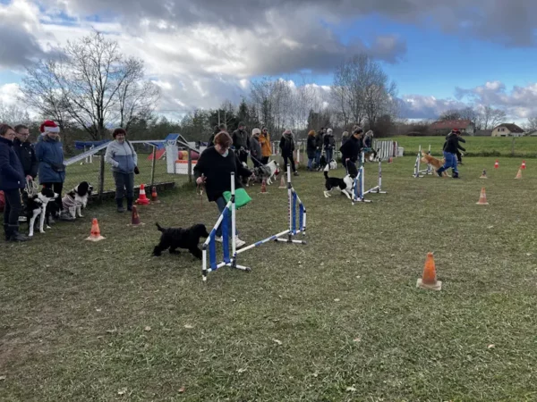 éducateur canin Annecy agility hooper - fête de Noel 2025