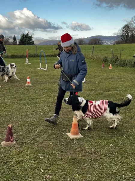 éducateur canin Annecy agility hooper - fête de Noel 2025