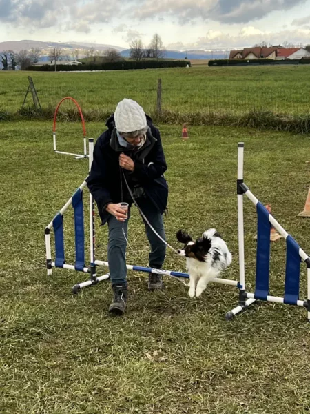 éducateur canin Annecy agility hooper - fête de Noel 2025