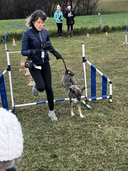 éducateur canin Annecy - fête de Noel 2025