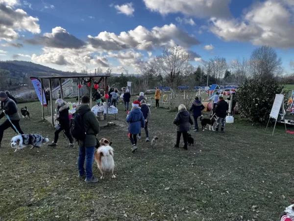 éducateur canin Annecy agility hooper - fête de Noel 2025