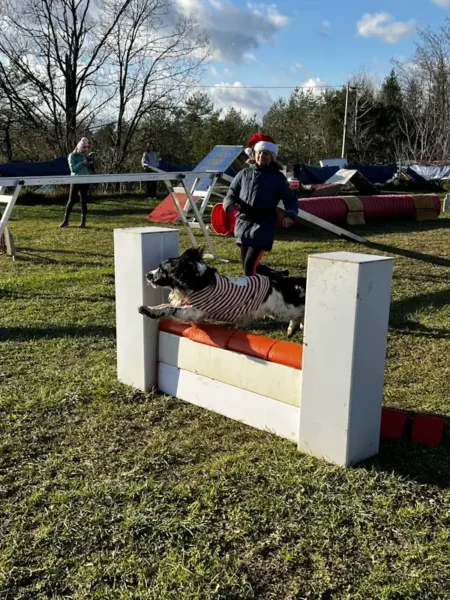 éducateur canin Annecy - fête de Noel 2025