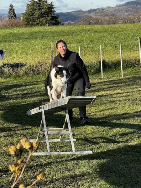 éducateur canin Annecy agility hooper - fête de Noel 2025