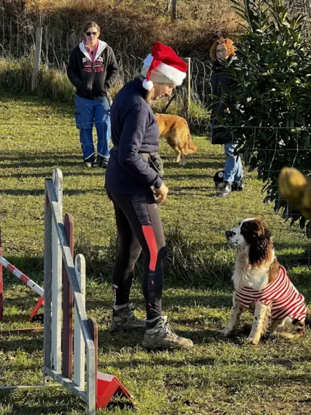 éducateur canin Annecy agility hooper - fête de Noel 2025