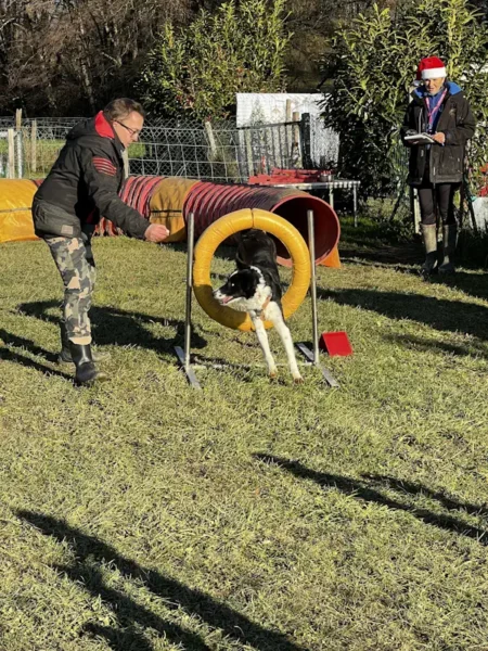 éducateur canin Annecy agility hooper - fête de Noel 2025