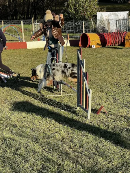 éducateur canin Annecy agility hooper - fête de Noel 2025