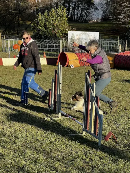 éducateur canin Annecy agility hooper - fête de Noel 2025