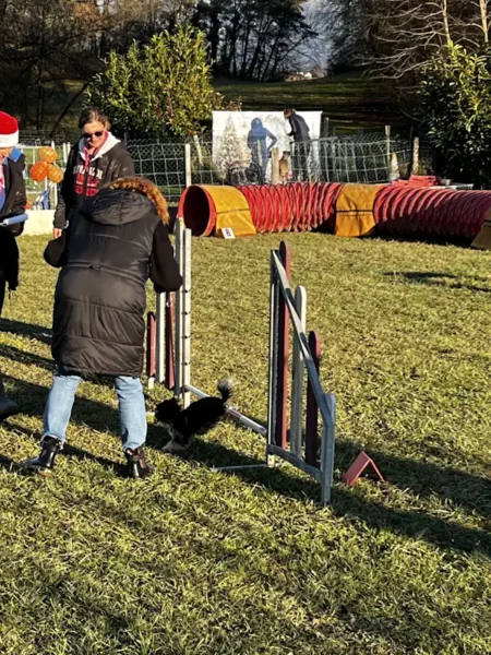 éducateur canin Annecy agility hooper - fête de Noel 2025