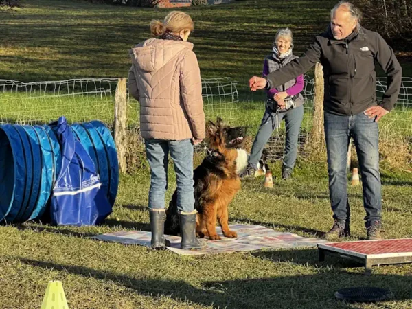 éducateur canin Annecy - fête de Noel 2025