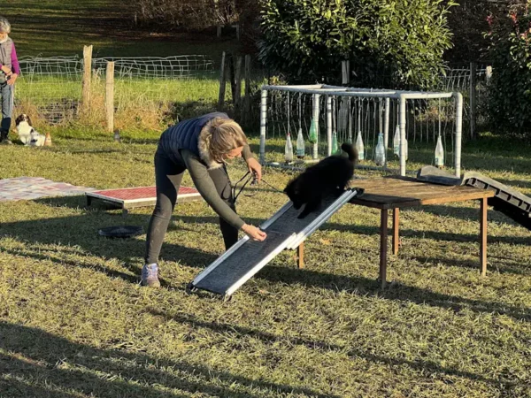 éducateur canin Annecy agility hooper - fête de Noel 2025