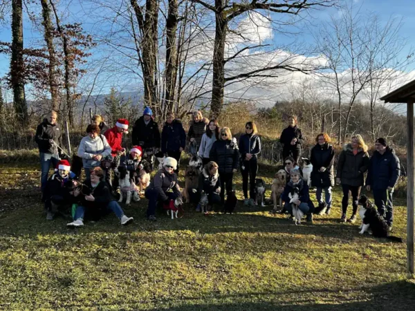 éducateur canin Annecy - fête de Noel 2025